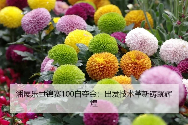潘展乐世锦赛100自夺金：出发技术革新铸就辉煌