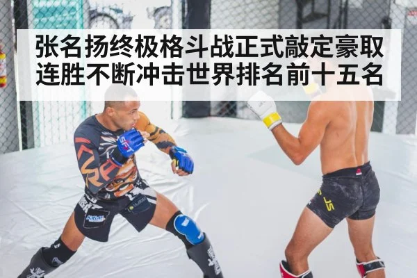 张名扬终极格斗战正式敲定豪取连胜不断冲击世界排名前十五名